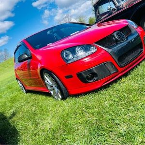 Meet your Posher, Cheyenne